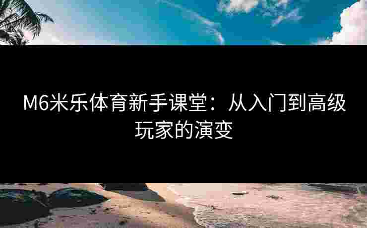 M6米乐体育新手课堂：从入门到高级玩家的演变