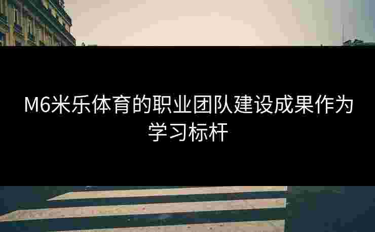 M6米乐体育的职业团队建设成果作为学习标杆